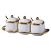 Creative ceramic condiment storage containers